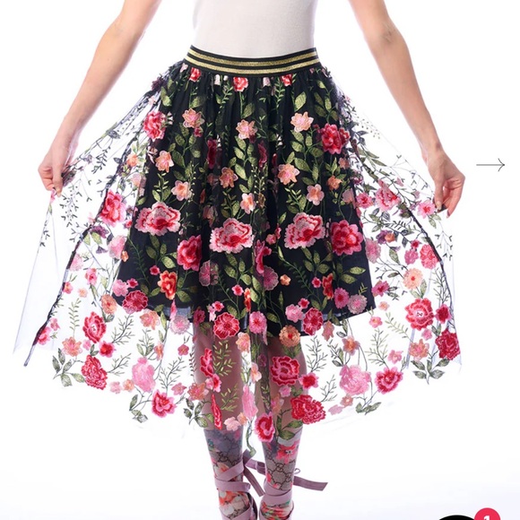 Aratta Dark Rose Embroidered Mesh Skirt - Picture 2 of 9